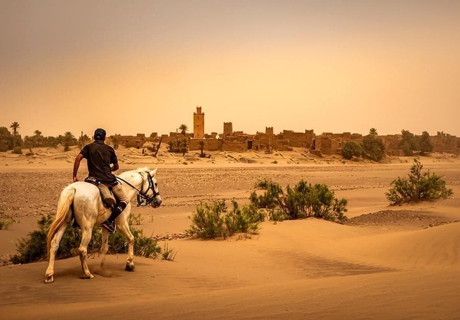 Balade à cheval dans la palmeraie de Marrakech